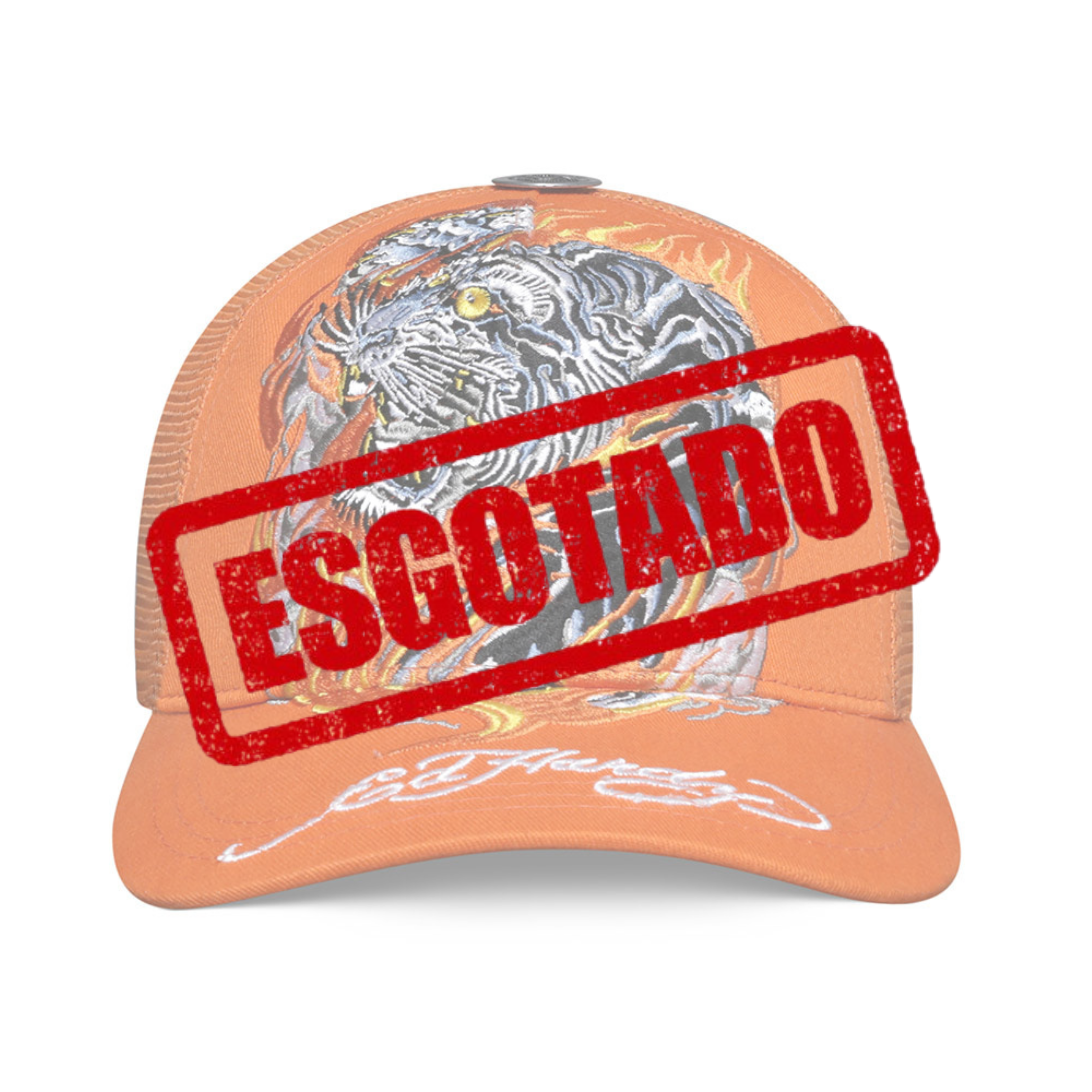 Boné Trucker Flaming Tiger